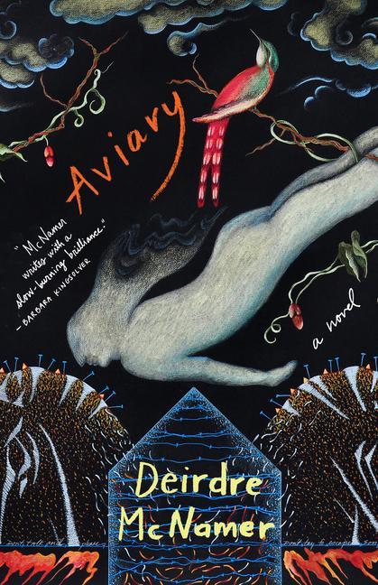 Libro Aviary Deirdre McNamer