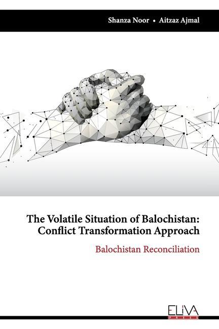 Kniha Volatile Situation of Balochistan Shanza Noor