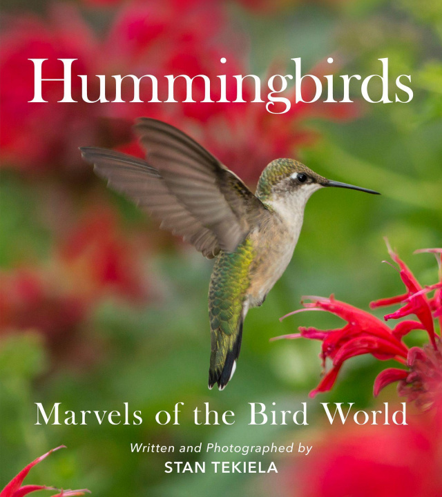 Kniha Hummingbirds 