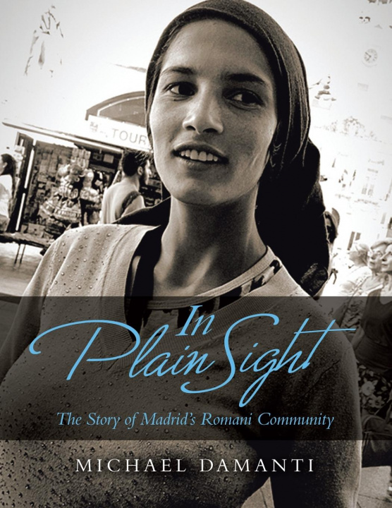 Buch In Plain Sight Damanti Michael Damanti