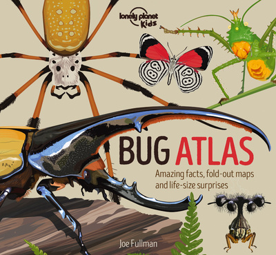 Carte Bug Atlas Lonely Planet