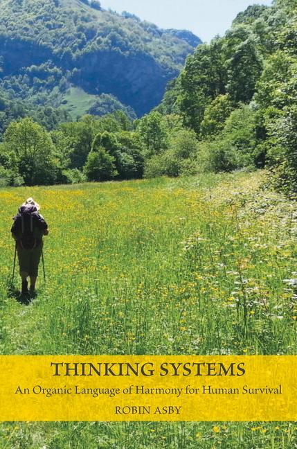 Knjiga Thinking Systems Robin Asby