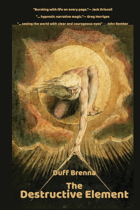 Book Destructive Element Duff Brenna