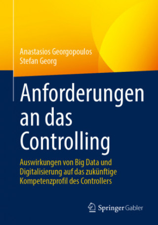Kniha Anforderungen an Das Controlling Stefan Georg