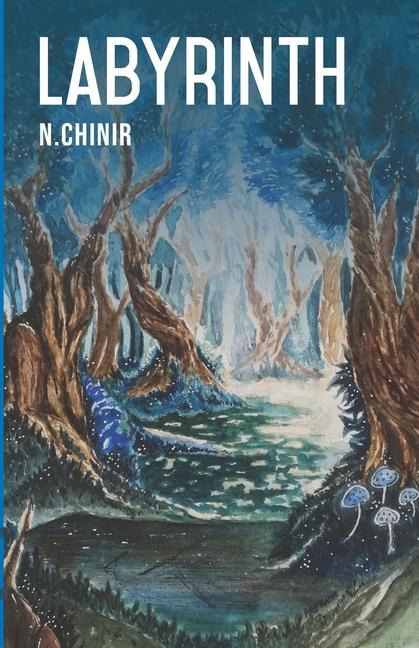 Knjiga Labyrinth N. Chinir