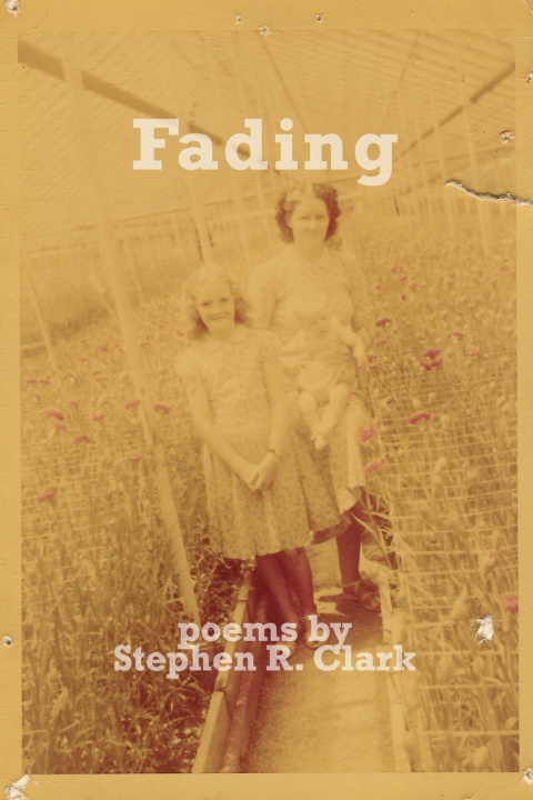 Knjiga Fading Clark Stephen R Clark