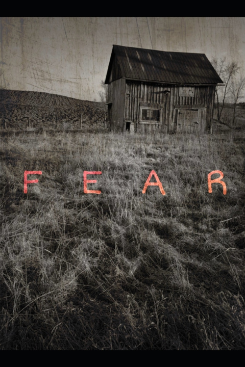 Knjiga Fear O'Brien Carlin O'Brien
