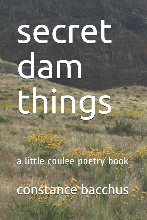 Knjiga secret dam things bacchus constance bacchus