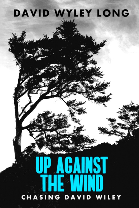 Kniha Up Against the Wind Lauren Michelle Pratt