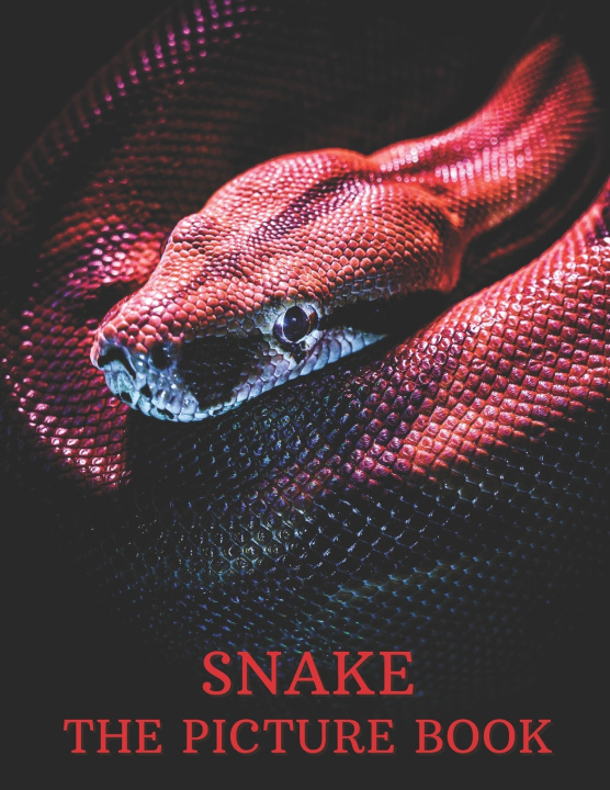 Knjiga Snake Publisher Lisa Publisher