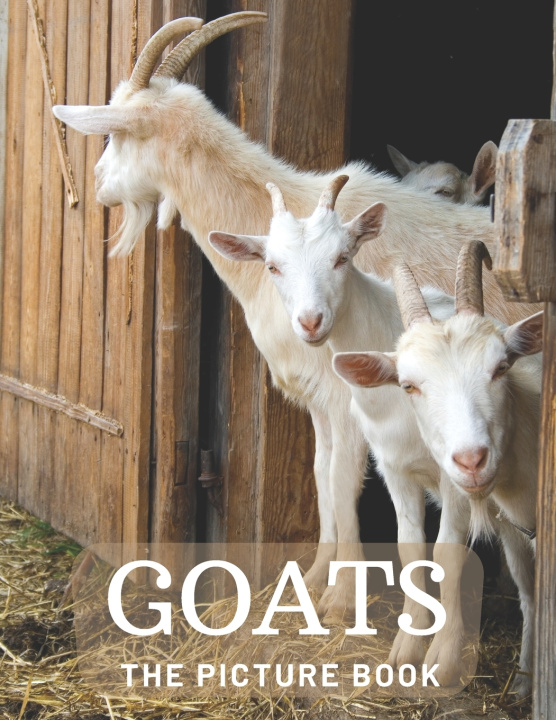 Knjiga Goats Publisher Lisa Publisher