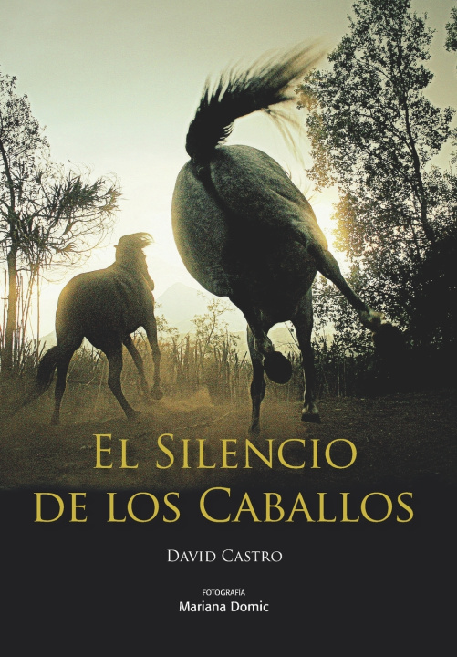 Carte Silencio de los Caballos Castro David Castro