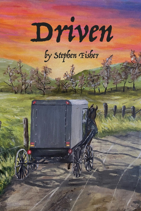 Knjiga Driven Fisher Stephen Fisher