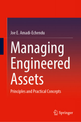 Knjiga Managing Engineered Assets Joe E. Amadi-Echendu