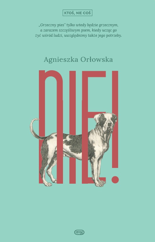 Kniha NIE Agnieszka Orłowska