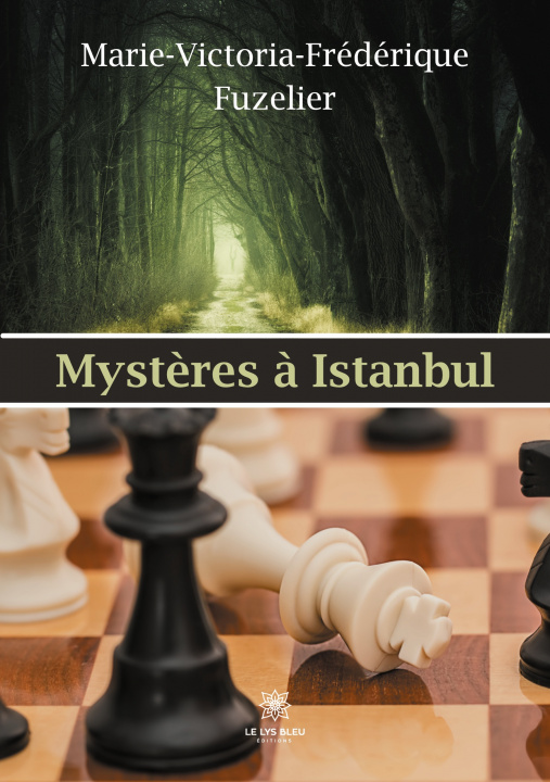 Buch Mysteres a Istanbul 