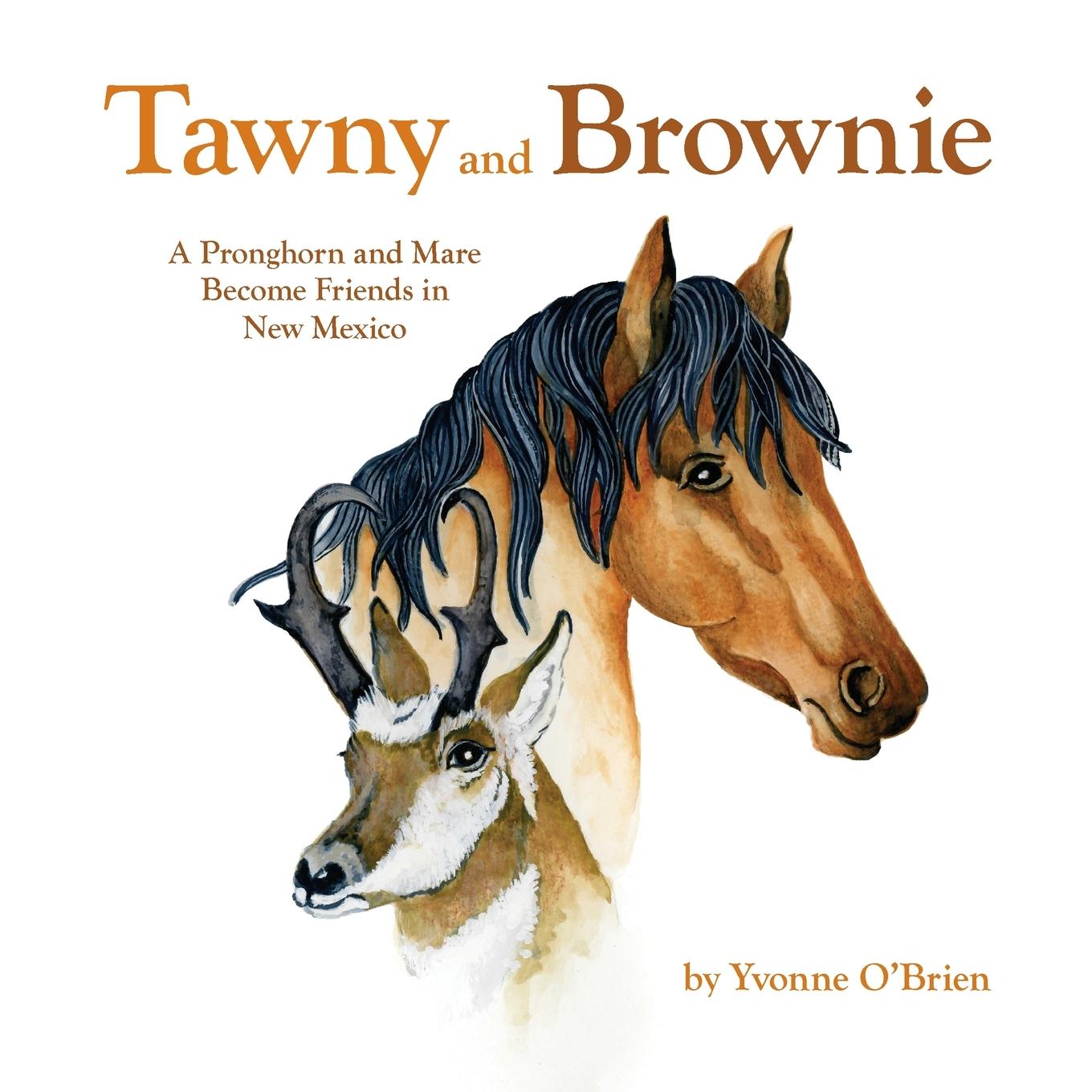 Book Tawny and Brownie David Perez