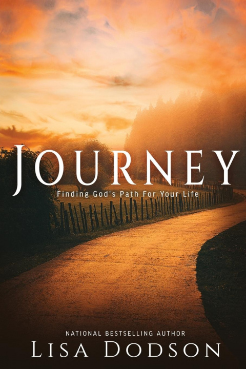 Knjiga Journey J. L. Campbell
