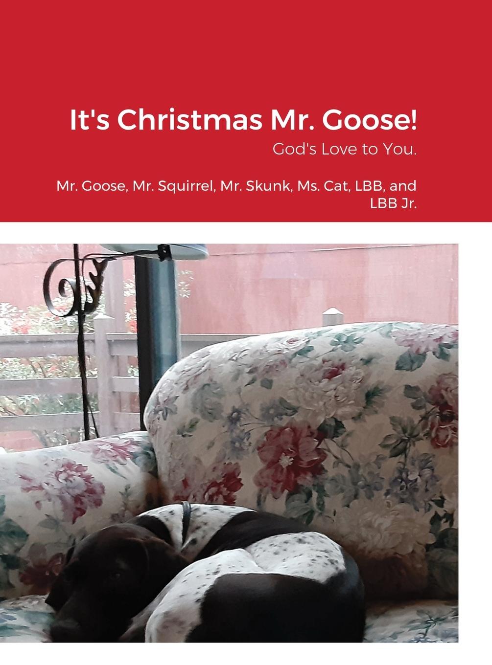 Book It's Christmas Mr. Goose! Alice Anne Townsend