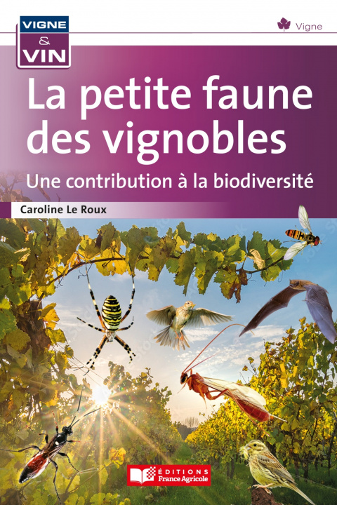 Knjiga La petite faune des vignobles, une contribution à la biodiversité Caroline Le Roux