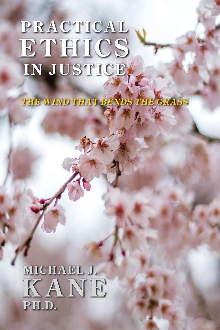 Book Practical Ethics in Justice Michael Kane