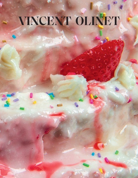 Book Vincent Olinet 