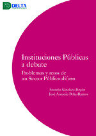 Buch INSTITUCIONES PUBLICAS A DEBATE SANCHEZ ANTONIO