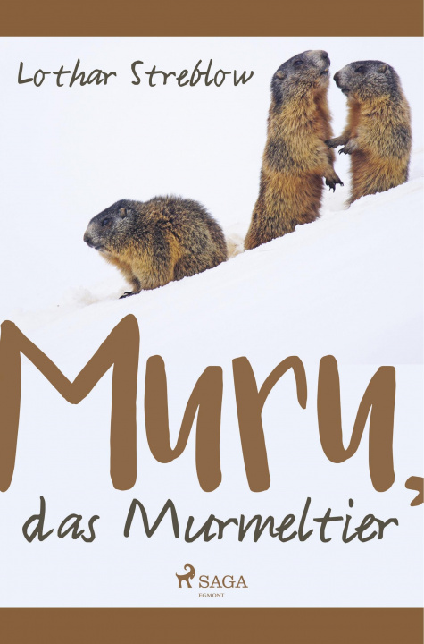 Knjiga Murru, das Murmeltier 