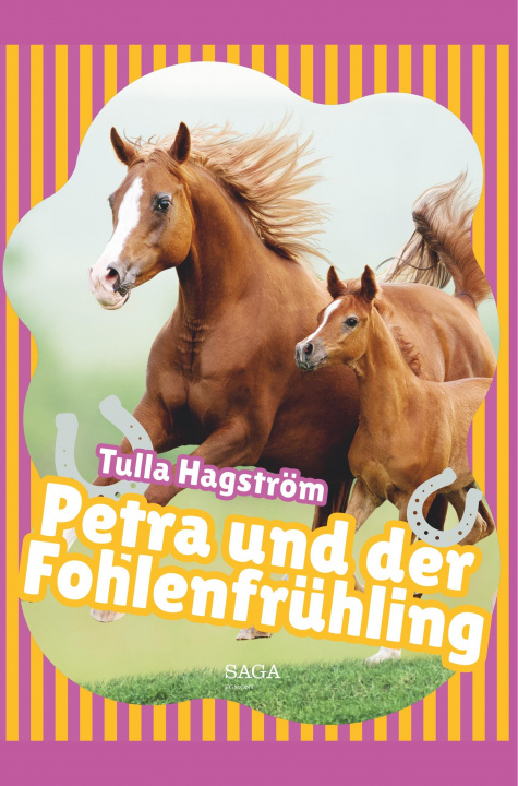 Kniha Petra und der Fohlenfrühling Ursula Dotzler