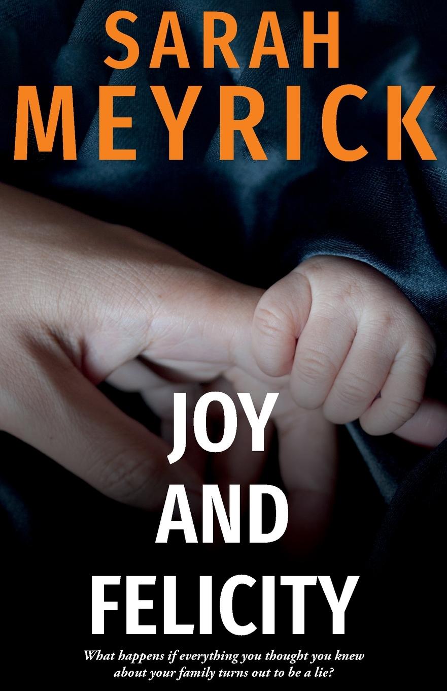 Buch Joy and Felicity Sarah Meyrick