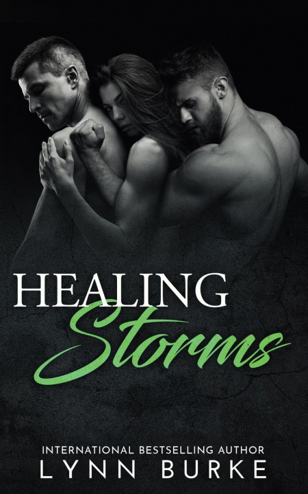 Knjiga Healing Storms Lynn Burke