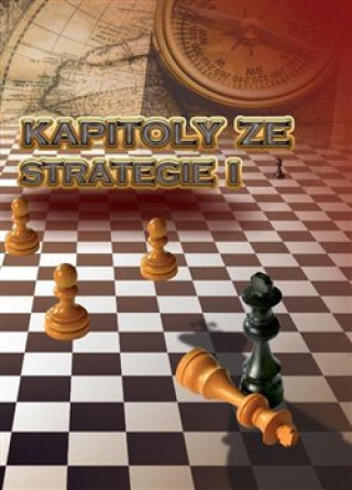 Kniha Kapitoly ze strategie I Richard Biolek