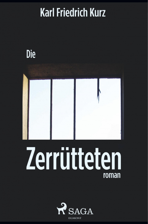 Knjiga Die Zerrütteten 