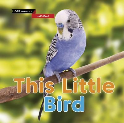Knjiga This Little Bird 