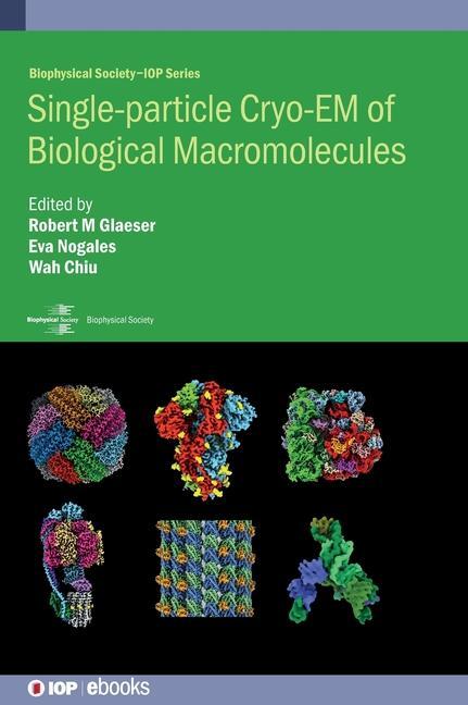 Könyv Single-particle Cryo-EM of Biological Macromolecules Wah Chiu