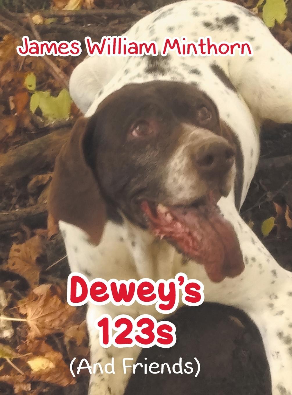 Buch Dewey's 123s James William Minthorn