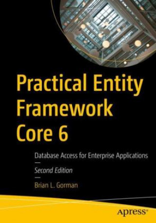 Book Practical Entity Framework Core 6 