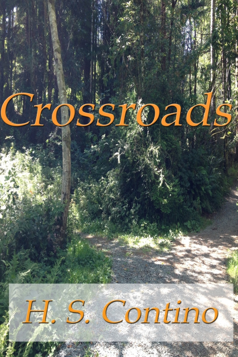 Knjiga Crossroads H. S. CONTINO