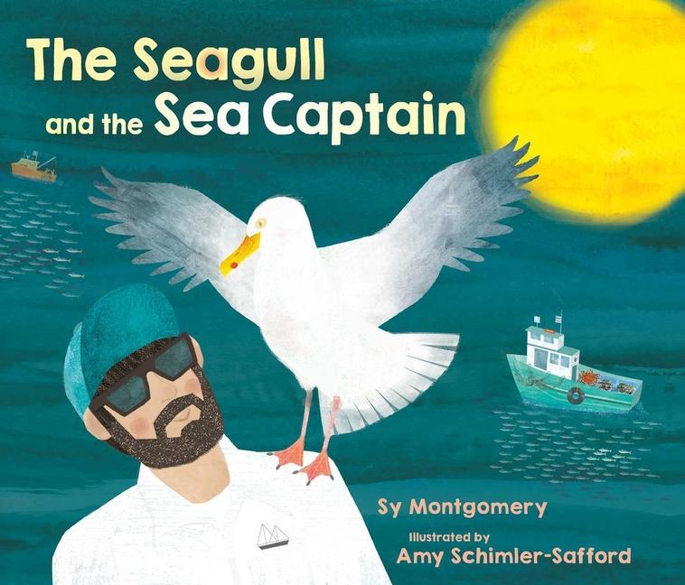 Book The Seagull and the Sea Captain Amy Schimler-Safford