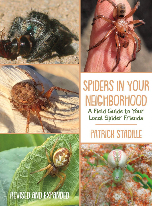 Könyv Spiders in Your Neighborhood 