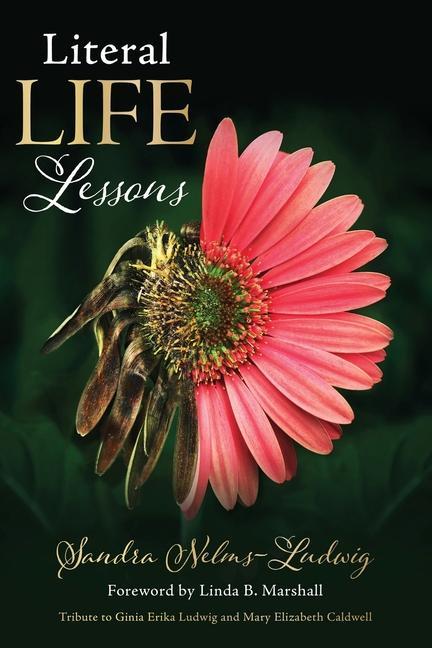 Knjiga Literal LIFE Lessons Ginia Erika Ludwig