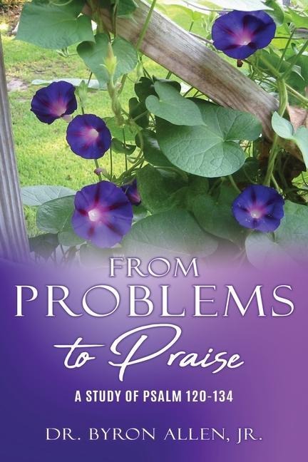 Book From Problems to Praise Allen  Byron  Jr.