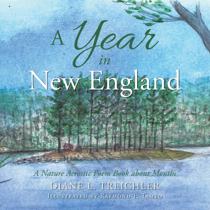 Boek Year in New England Raymond F. Tameo