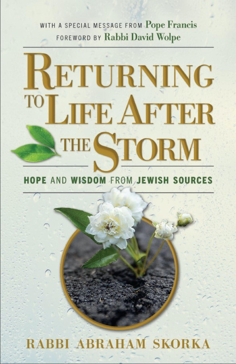 Könyv Returning to Life After the Storm Abraham Skorka