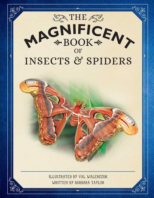 Kniha Magnificent Book of Insects and Spiders 