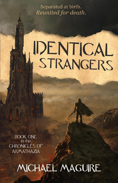 Knjiga Identical Strangers Michael Maguire
