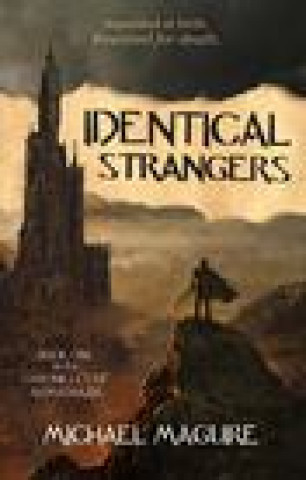 Knjiga Identical Strangers Michael Maguire
