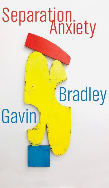 Kniha Separation Anxiety Gavin Bradley