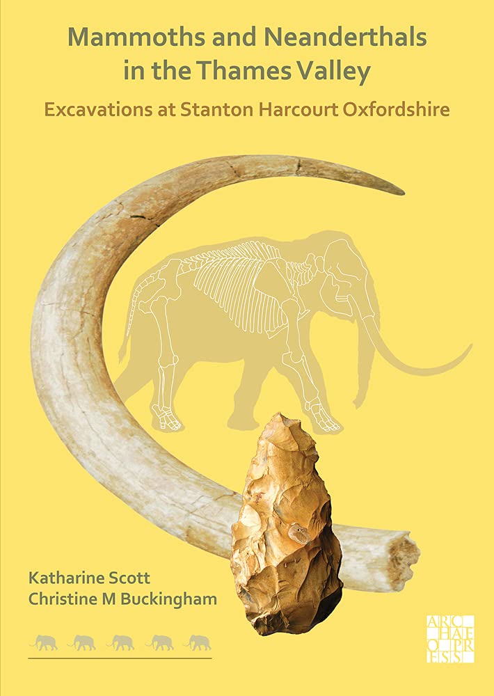 Kniha Mammoths and Neanderthals in the Thames Valley Christine Buckingham
