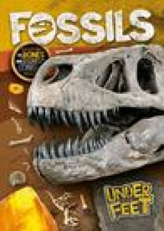 Knjiga Fossils Kirsty Holmes